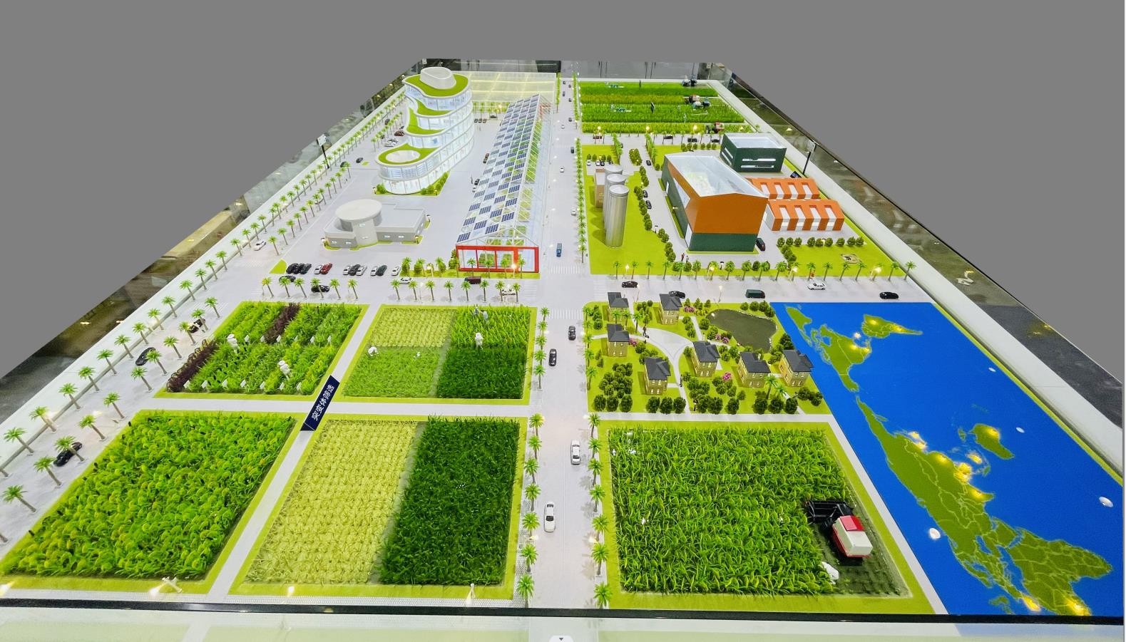 水稻基因·科研模型