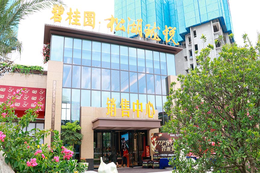 碧桂园松湖珑悦智能模型