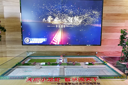 成都中伦农业稻虾综合种养殖沙盘模型